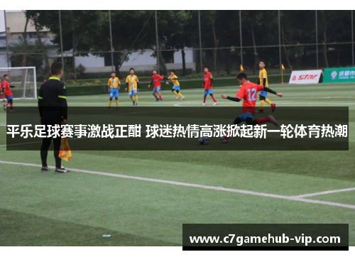 平乐足球赛事激战正酣 球迷热情高涨掀起新一轮体育热潮