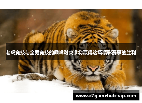 老虎竞技与全男竞技的巅峰对决谁将赢得这场精彩赛事的胜利